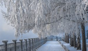 Parque ruso en invierno